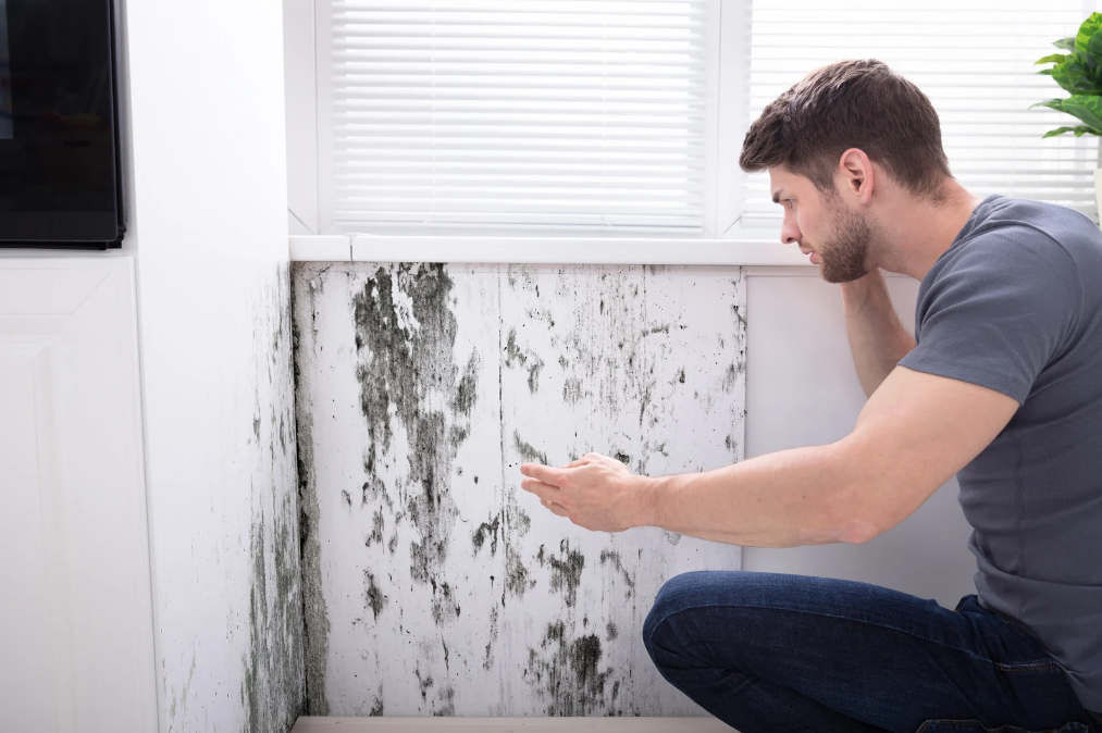 Moisissure mur chambre : les dangers et comment l'éviter